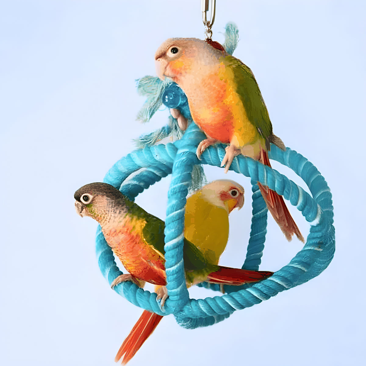 HARI Smart Play Enrichment Parrot Toy - Roper Orbiter Perch n Swing