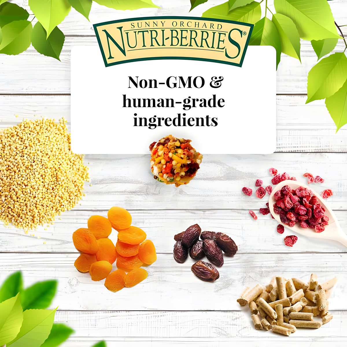 Lafeber Sunny Orchard Nutri-Berries for Cockatiels 10 oz