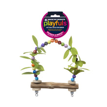 Prevue Birds of Paradise swing