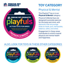 Prevue Playfuls Physical & Mental