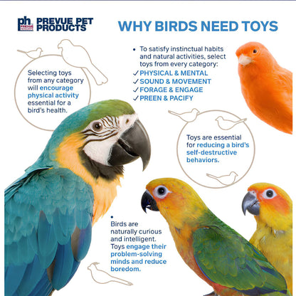Prevue Why Birds need Toys