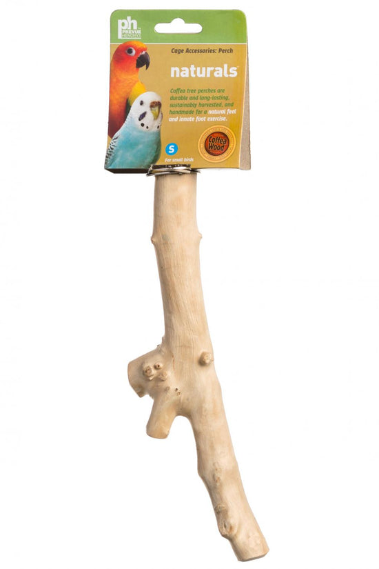 ecomposer-options-9"-branch