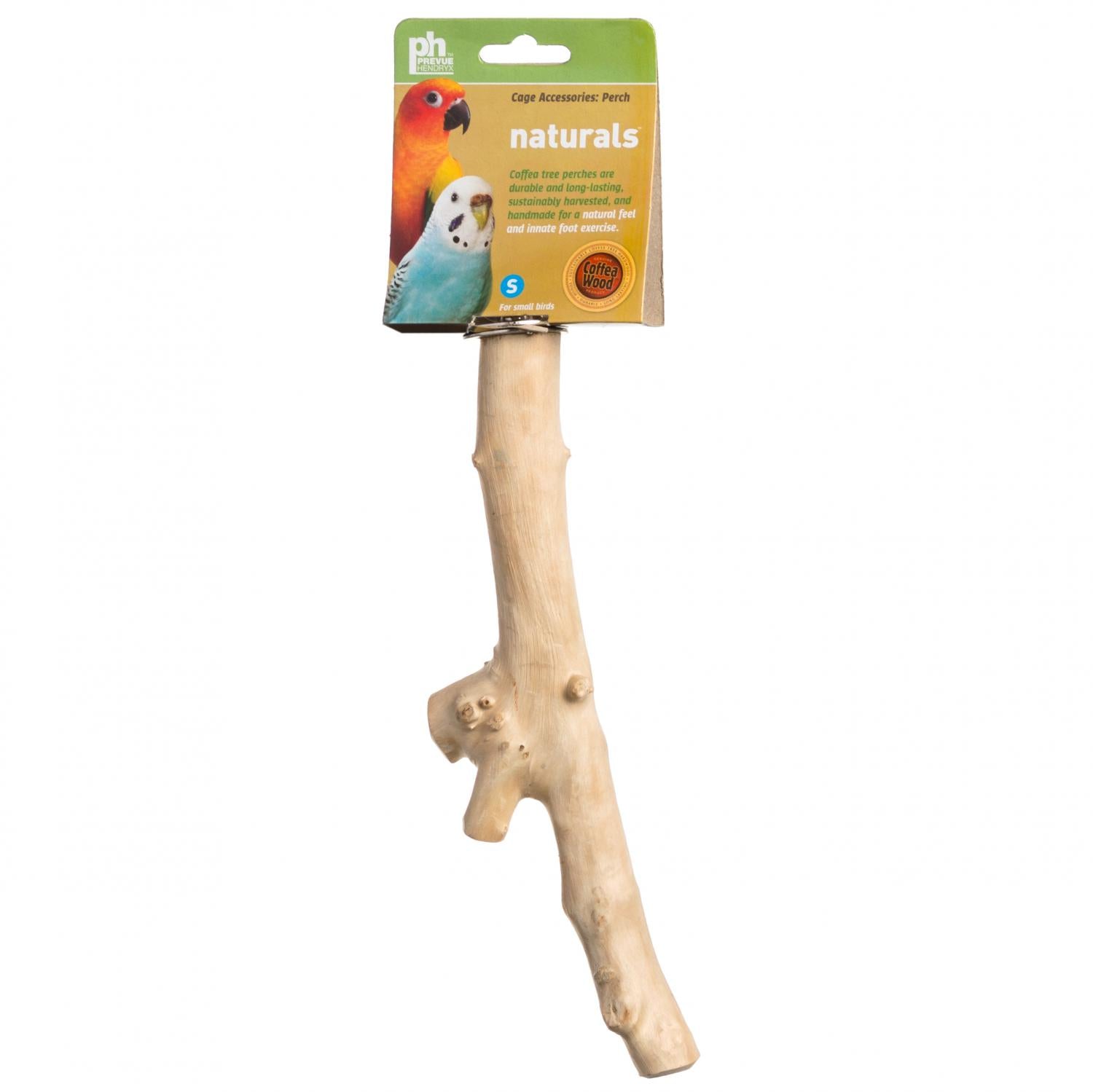 ecomposer-options-9"-branch