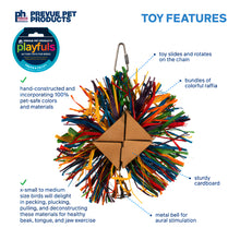 Prevue Pet Playfuls Raffia Rainbow