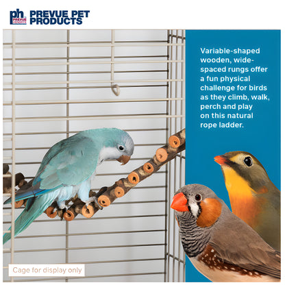 Prevue Pet Rope Bird Ladder