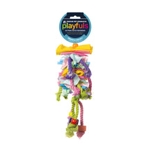 Prevue Calypso Creations Short Stack