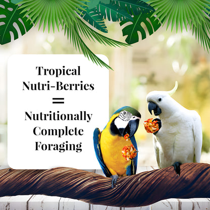 options-Macaw-&-Cockatoo