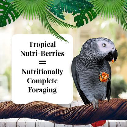 options-parrots