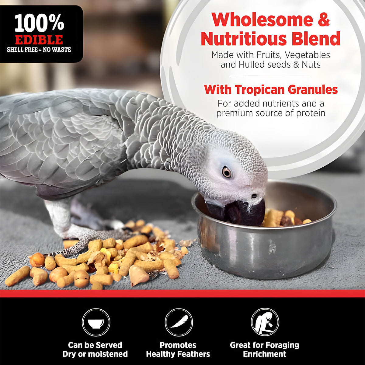 options-large-parrots