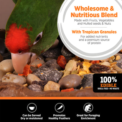 options-small-parrots