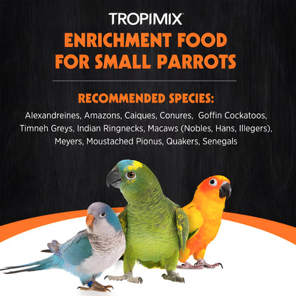 options-small-parrots