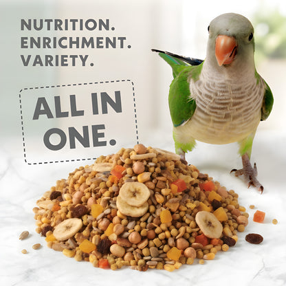 options-cockatiels-and-lovebirds