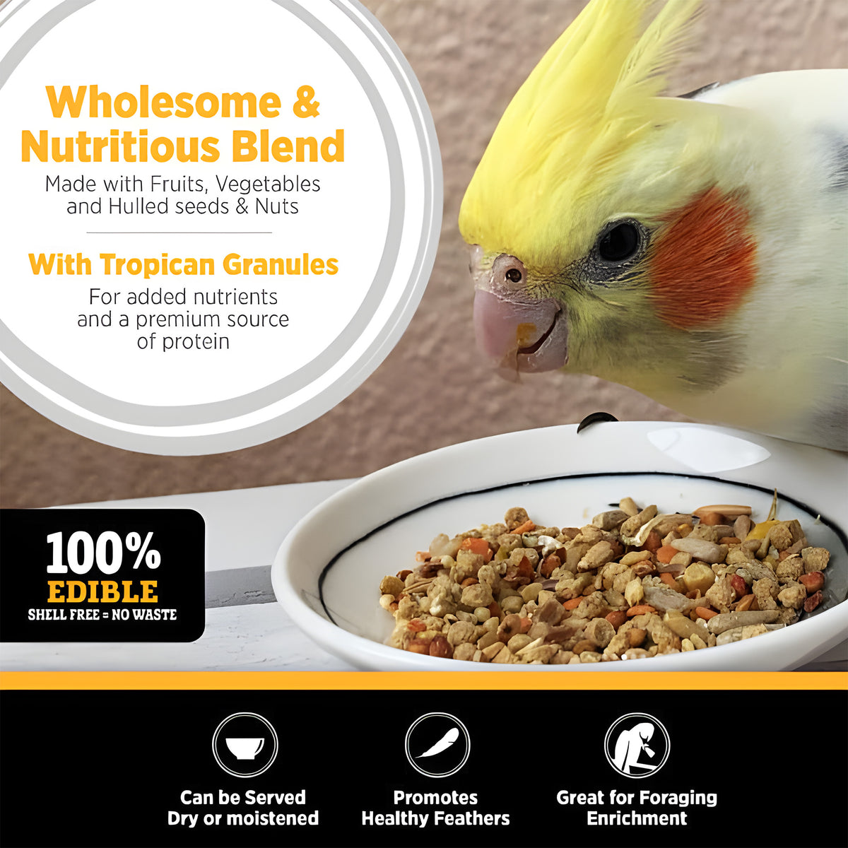options-cockatiels-and-lovebirds